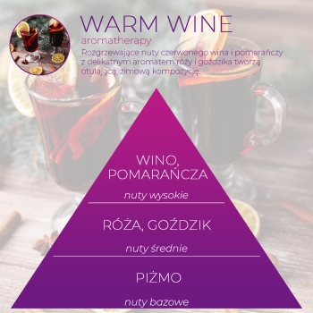 <B>WARM WINE</B> SPRAY 250 ml odświeżacz powietrza PREMIUM